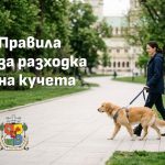 Столичният инспекторат напомня правилата за разходка на кучета: Глоби и засилен контрол