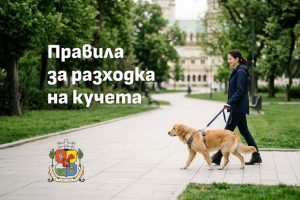 Столичният инспекторат напомня правилата за разходка на кучета: Глоби и засилен контрол