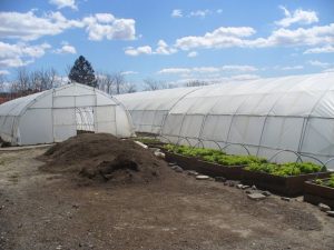 Община Казанлък стана земеделски производител, за да храни 2600 деца с чиста храна