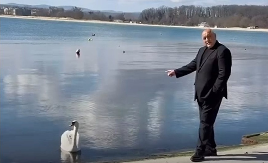 Най-запомнящите се моменти от изминалата предизборна кампания: Животни, музика и кулинария