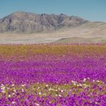 Светлинно замърсяване застрашава уникалното небе над пустинята Атакама