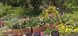 Разходка в Националната ботаническа градина на Китай: Природа и наука в Пекин