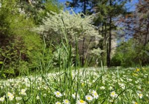 Бурни празници през май: Гръмотевици на Гергьовден и градушки на 24 май
