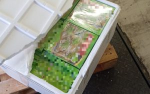 770 кг кюнефе и катмер без документи задържаха на ГКПП „Капитан Андреево“