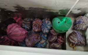 БАБХ затвори кланици в Сливен и Бяла Слатина при мащабни проверки