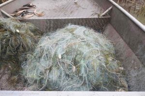 Акция на ИАРА в езерото Вая: Иззеха 600 метра незаконни мрежи и 65 кг риба