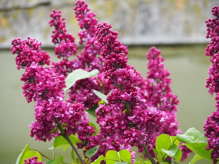 Дъжд до четвъртък, после слънце и температури над 20 градуса