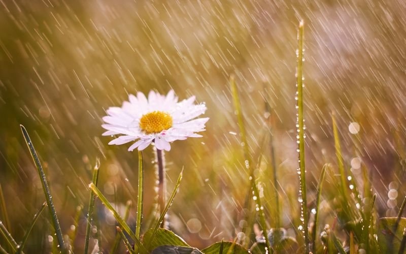 Дъжд и сняг ще се редуват днес в България