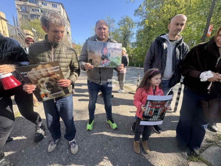 Протест в София: Граждани настояват за затвор за мъчителите на животни Красимир и Габриела