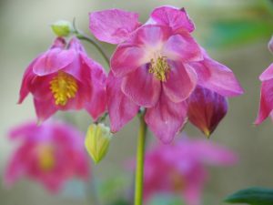 До 20° в София утре, в средата на седмицата - ново застудяване