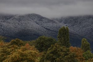 Екоминистерството прекрати актуализацията на Плана за управление на ПП „Витоша“