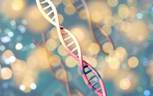 Генетично „перфектни“ ембриони: Новата мода за 50 000 долара в САЩ