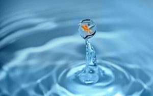 Кипър е изправен пред водна криза – властите затягат мерките за ограничаване на потреблението