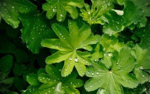 Краткотрайни следобедни валежи и гръмотевици в понеделник