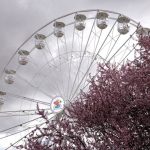 София откри най-високото виенско колело в България в Княжеската градина