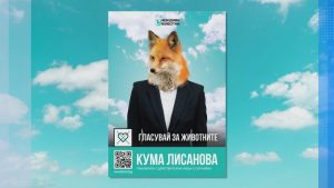 Неправителствени организации стартираха кампания за защита на животните преди вота