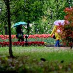 Облачно и на места дъждовно през новата седмица: Прогноза за времето