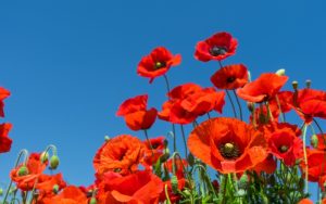 Очаква ни слънчево време с температури до 27 градуса и временна облачност