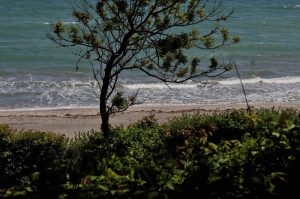 Опасно ветровито в цялата страна: Жълт код и пориви до 90 км/ч