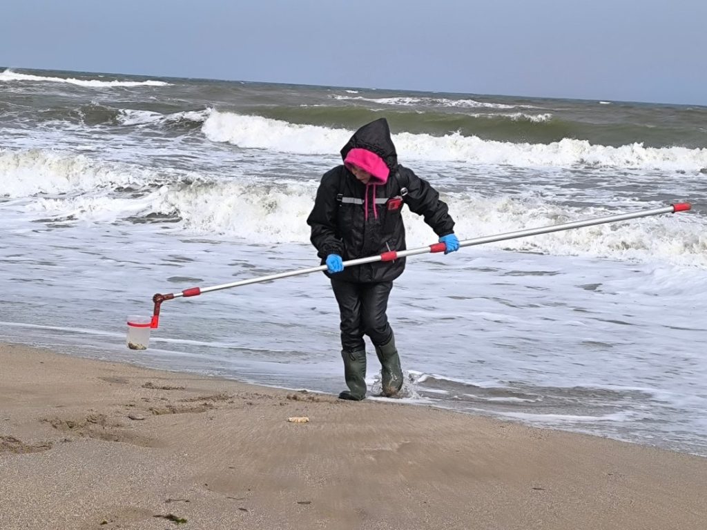 МОСВ сезира прокуратурата: Делфините и буревестниците край Шабла са се удавили в мрежи