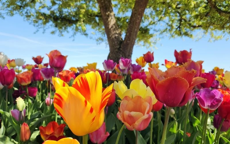 По-топло без сериозни валежи – какво време ни очаква до края на април