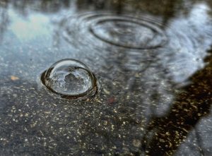 По-топло и слънчево време ни очаква в началото на новата седмица