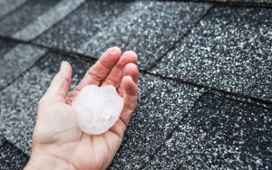 Земеделският министър Иван Христанов инспектира симулация на противоградна защита в Старо село