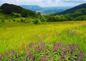 Слабо понижение на температурите през уикенда, слънце през новата седмица