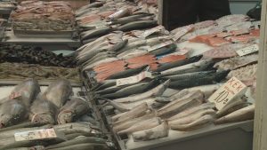 Свръхуловът и климатичните промени забавят драстично растежа на рибите по света