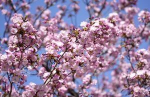 Температурите през почивните дни се повишават: В неделя термометрите ще преминат 25 градуса