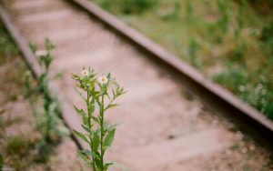 Турция проведе първи тестове по скоростната жп линия до границата с България
