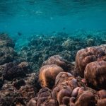 Учени откриха мащабен скрит източник на метан в Световния океан