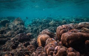 Учени откриха мащабен скрит източник на метан в Световния океан