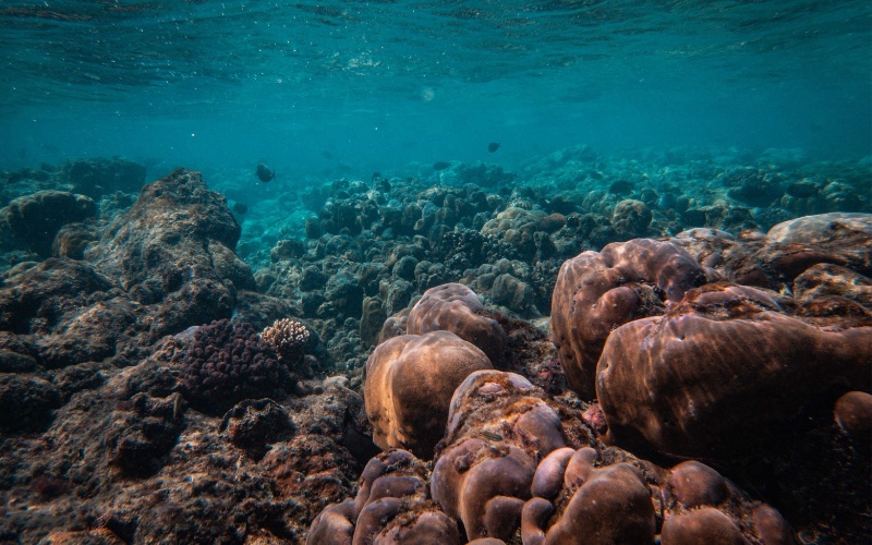 Учени откриха мащабен скрит източник на метан в Световния океан