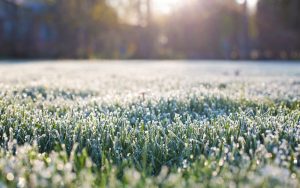 Времето утре: Спад на температурите, риск от слани и валежи в Югозападна България
