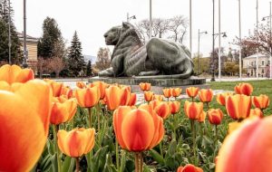 В понеделник ще е предимно слънчево, с временни увеличения на облачността