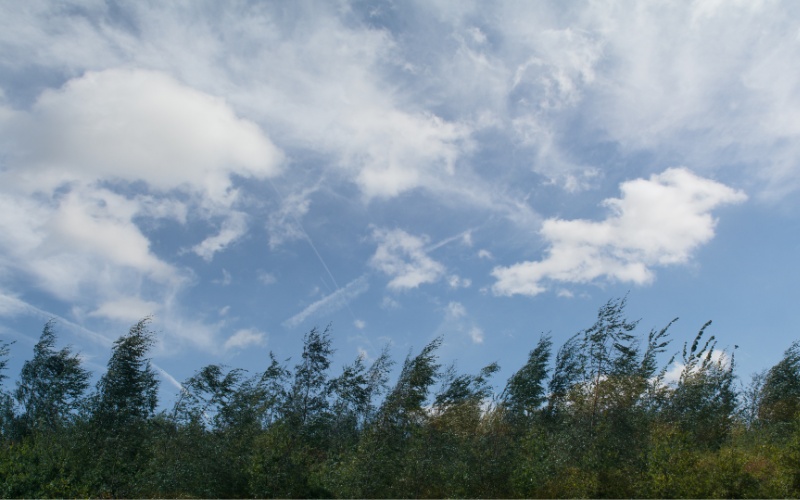 В събота ще духа умерен до силен вятър от север-североизток