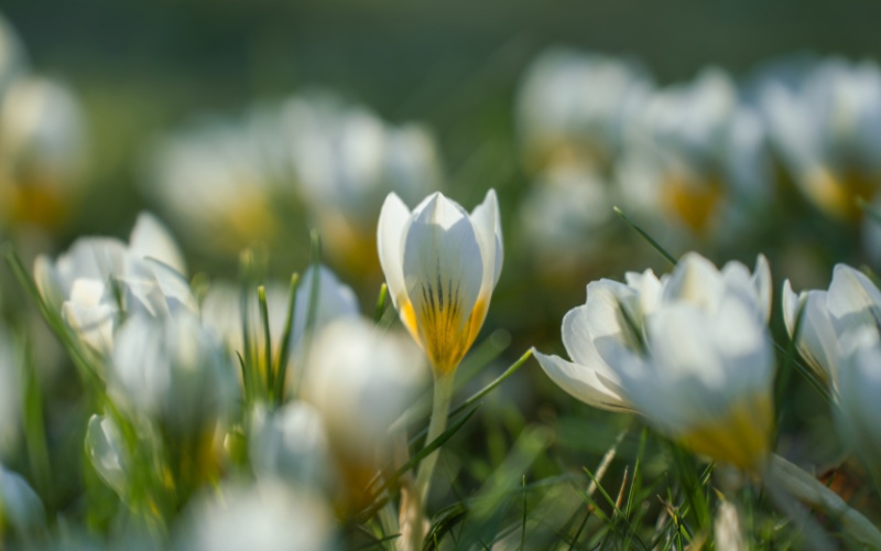 Валежи и жълт код за 10 области в петък и събота