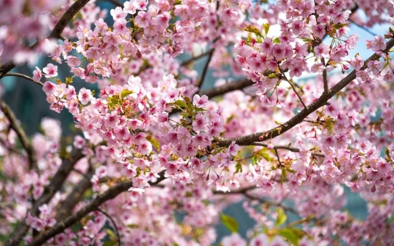 Студен фронт носи сняг и силен вятър: Температурите падат до петък