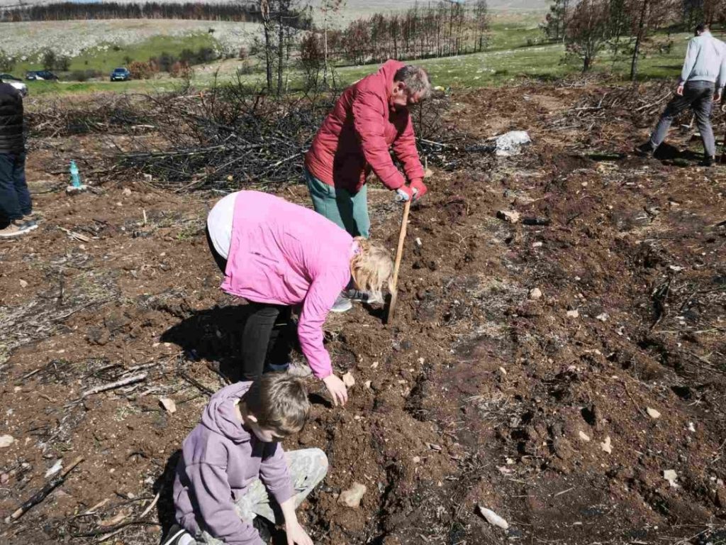 Засадиха първите фиданки след големия пожар над село Безден