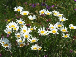 Жълт код за валежи и гръмотевици: Температурите падат до 13 градуса