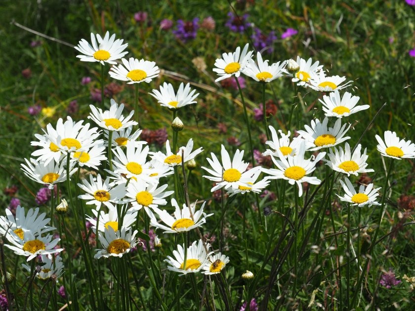 Жълт код за валежи и гръмотевици: Температурите падат до 13 градуса