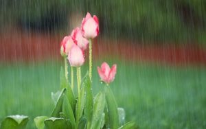 Значителни валежи и предупредителни кодове в страната преди затоплянето от понеделник