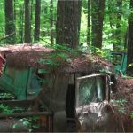 Градът на старите коли в Джорджия: Където природата превръща метала в изкуство