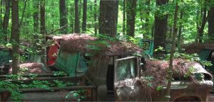 Градът на старите коли в Джорджия: Където природата превръща метала в изкуство