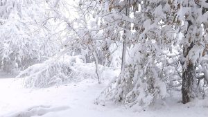 При минус 1 градуса пробегът на електромобилите пада с 39 процента!