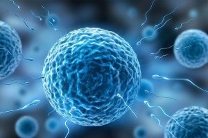 Изкуствен интелект открива сперматозоиди при мъже с тежко безплодие