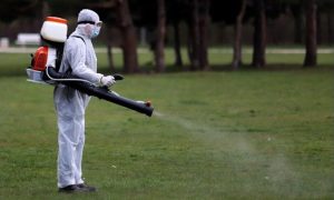 Започва спешна обработка срещу комари в цялата страна