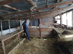Злоупотреби за 922 хил. лв. при борба с шарката по овцете в Пловдивско разкри одит