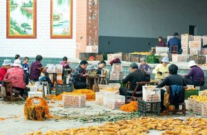 КМГ: Обемът на пазара на селскостопански продукти в Китай нарасна до 2,6 трилиона юана